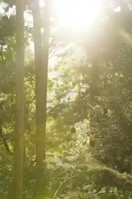 鞍馬寺(京都府)
