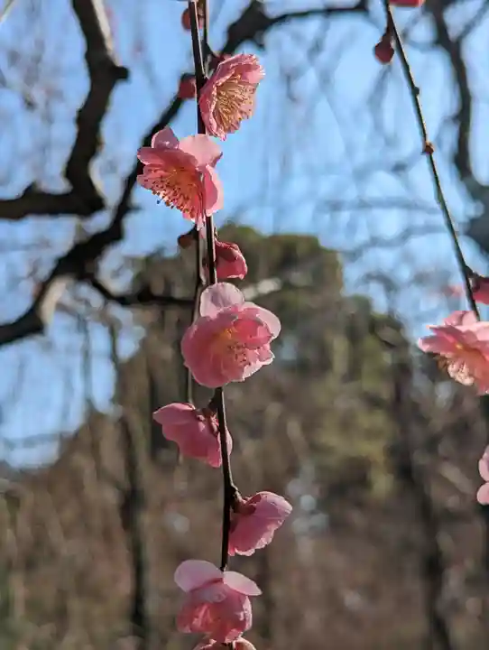 城南宮(京都府)