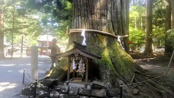 諏訪神社(北口本宮冨士浅間神社摂社)(山梨県)