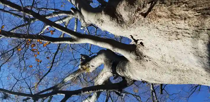 国府台天満宮(千葉県)