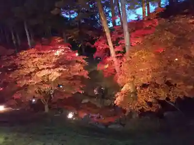龍興山神社の自然