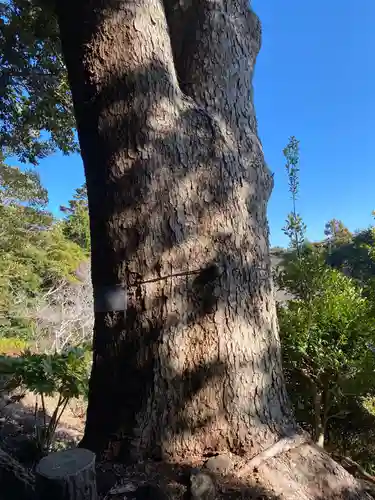 真野寺(千葉県)