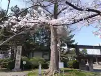 福井神社(福井県)