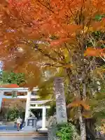 三峯神社の鳥居