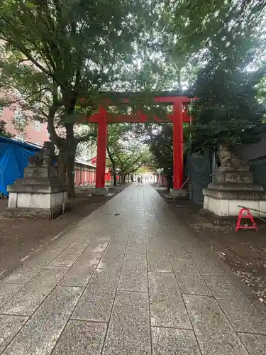 花園神社の鳥居