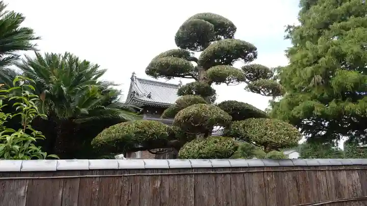 国分寺(徳島県)