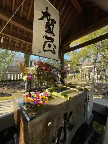 白金龍王社(愛知県)