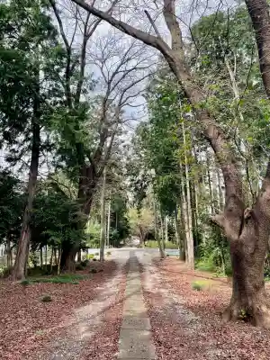 関間神明神社(埼玉県)