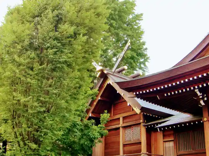 朝日氷川神社の本殿・本堂