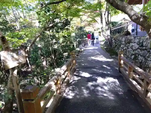 宝泉院(京都府)