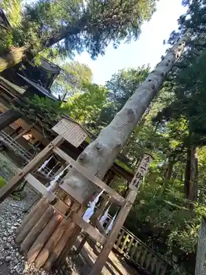 諏訪大社下社春宮(長野県)