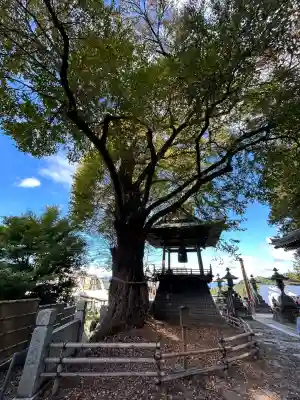 北向観音(長野県)