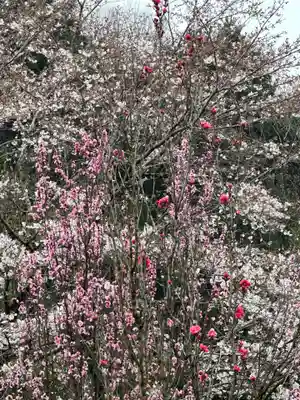弁財天(神奈川県)