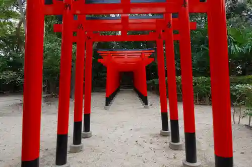 亀之森住吉神社の鳥居