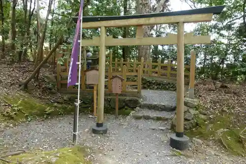 出雲大神宮の鳥居