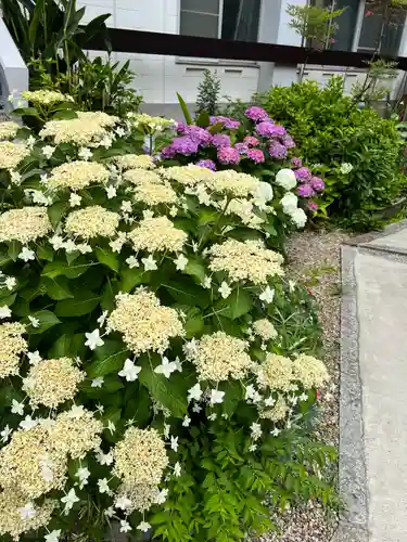 三輪神社(愛知県)