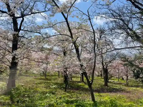 諏訪神社(北海道)