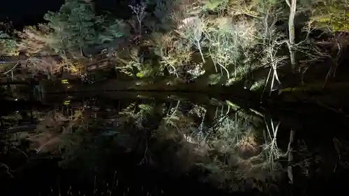 高台寺（高台寿聖禅寺・高臺寺）(京都府)