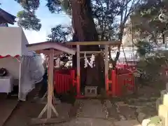 大前神社の自然