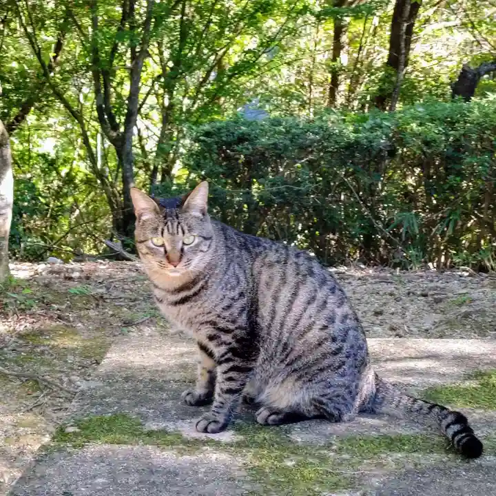 玉野御嶽神社の動物