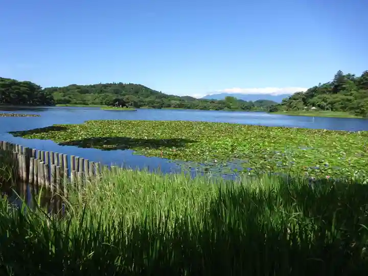 南湖神社の自然