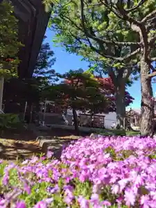 厚別神社(北海道)(2023年05月23日(火) 14時32分02秒投稿)