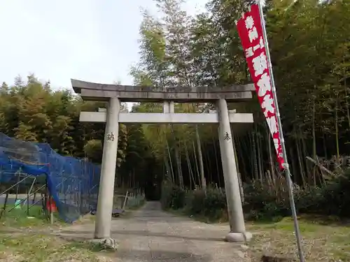 平尾姫丸稲荷大明神の鳥居