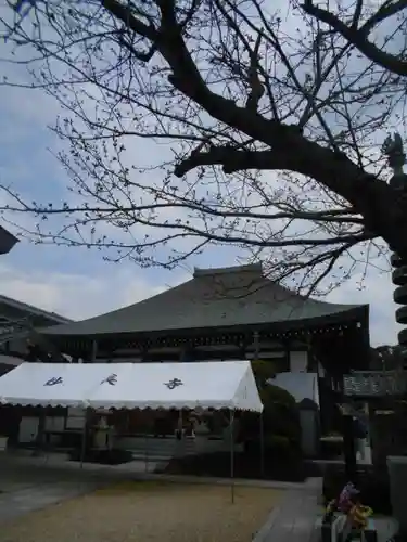 妙長寺の本殿・本堂