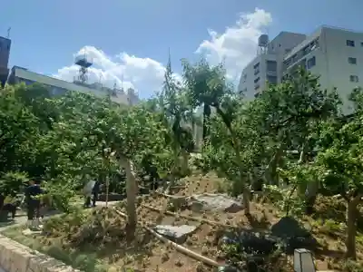 湯島天満宮(東京都)