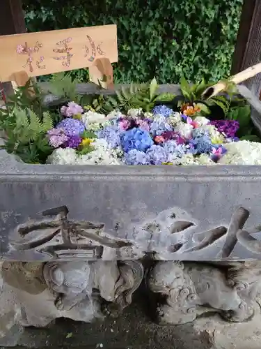 於菊稲荷神社の手水舎