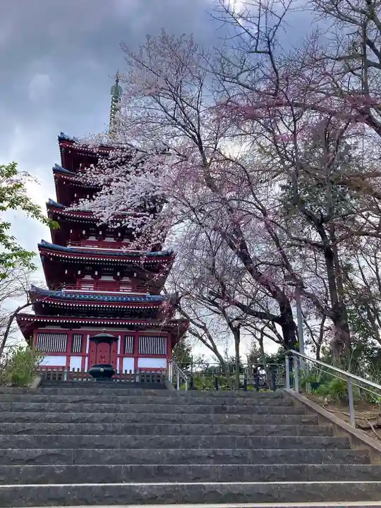 本土寺(千葉県)
