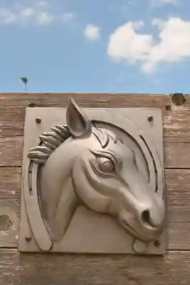 遍照院(愛媛県)