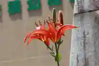 安積國造神社の庭園