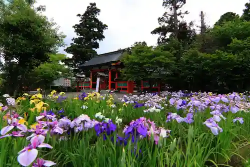 大鏑矢神社の庭園