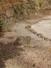 事任八幡宮の狛犬