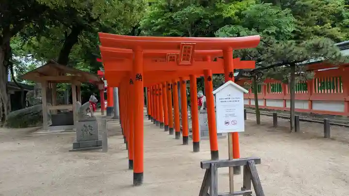 荒熊白髭稲荷神社の鳥居