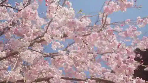 本山専修寺(三重県)