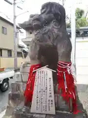 御霊神社の狛犬