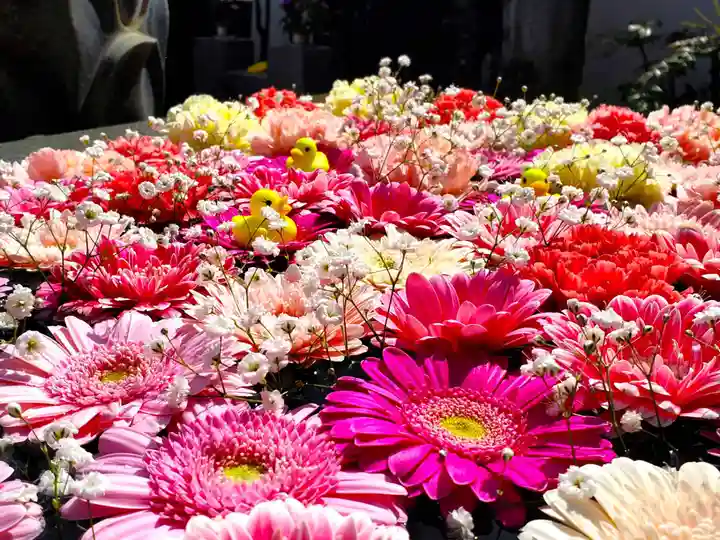 多聞寺の手水舎