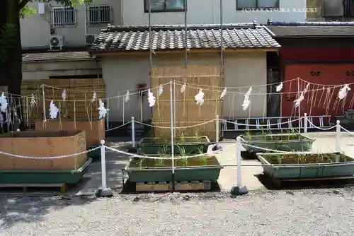 浅草神社の庭園