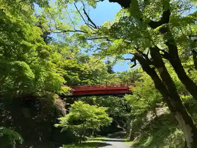 養父神社の庭園