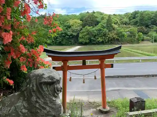 犬飼神社の鳥居