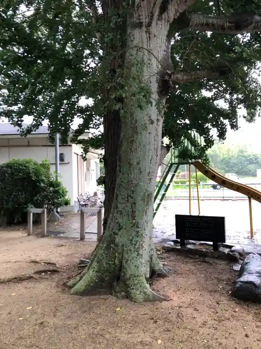 岸河神社の自然