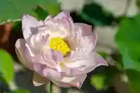 大久寺(神奈川県)