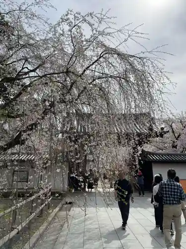 醍醐寺の山門・神門