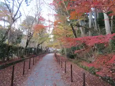 光明寺（粟生光明寺）のその他建物