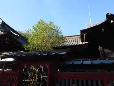 玉前神社(千葉県)