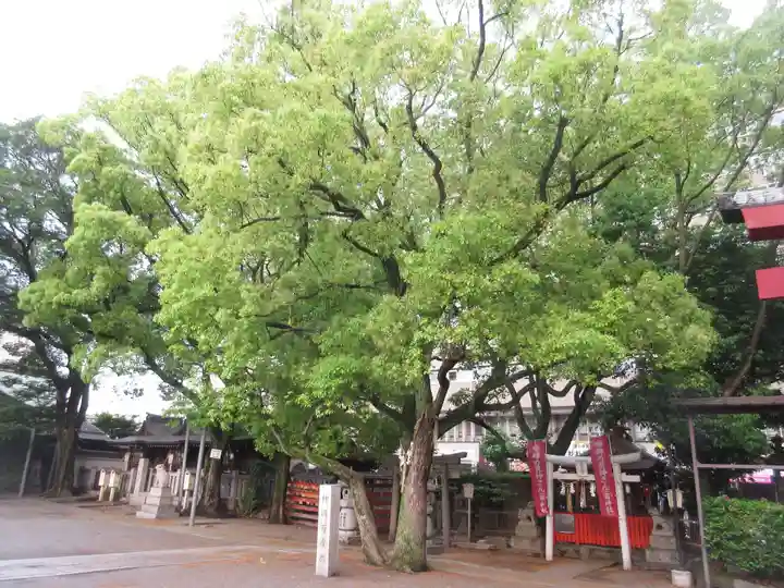 開口神社の自然