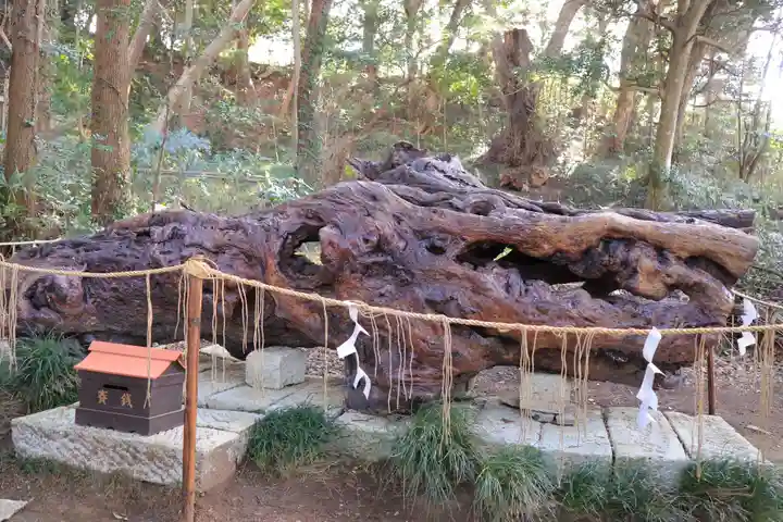 泉神社(茨城県)