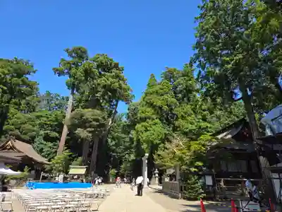 鹿島神宮(茨城県)
